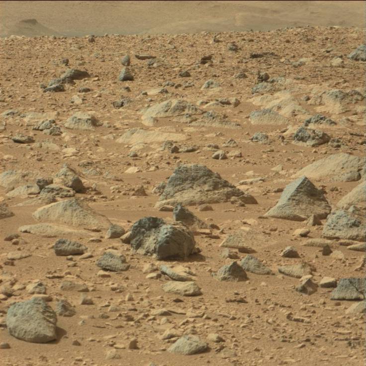 A typical view of the area near the landing point of the Curiosity rover.  Notice the many different colors, textures and shapes of the rocks attesting to a multiple of origins and yet they are mixed together here somewhat haphazardly.  Image Credit: NASA/JPL-Caltech