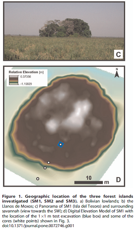 Figure 1 from Lombardo et al. 2013 PLosOne paper. This shows the forest island SM1 which I have take a screenshot from Google maps below.