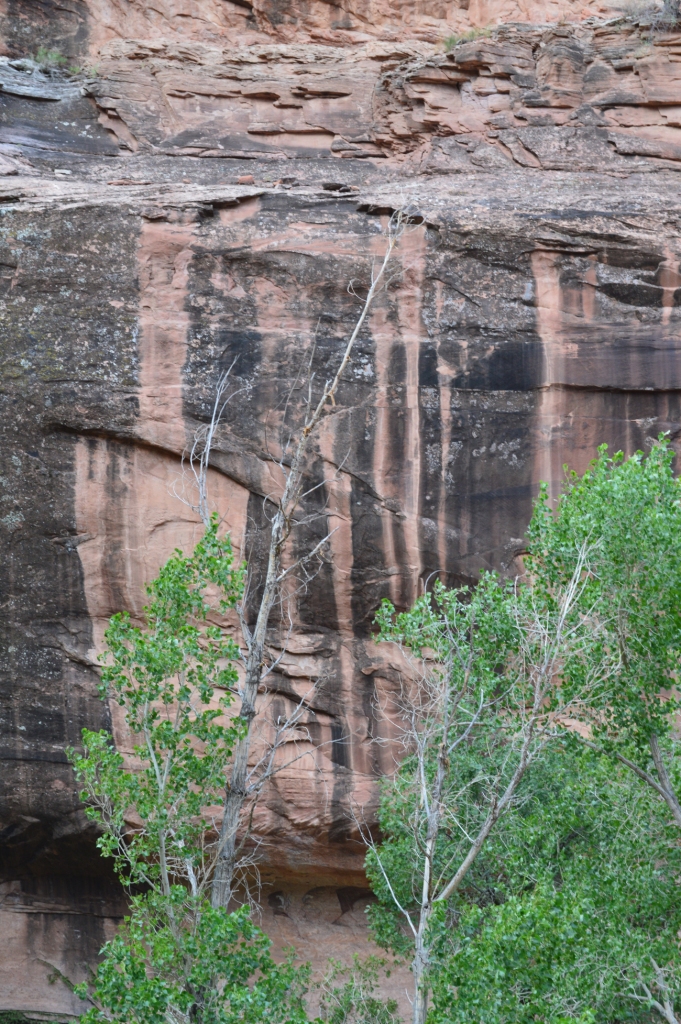 Desert varnish on wall of Gatherers Canyon just west of Moab UT.  