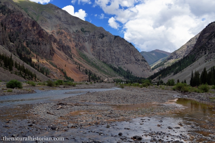 Animas River east of Silverton Colorado on the way to the ghost town of Animas Forks
