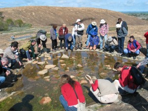 Hanging around a rock pool in Western Australia looking at clam shimp.