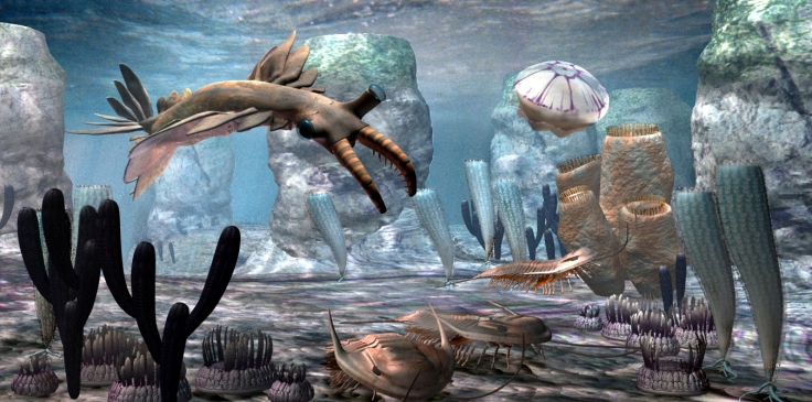 Is this alien life?  It may look alien to you but this is a reconstruction of life on our own planet from the Cambrian Period based on fossils found. 